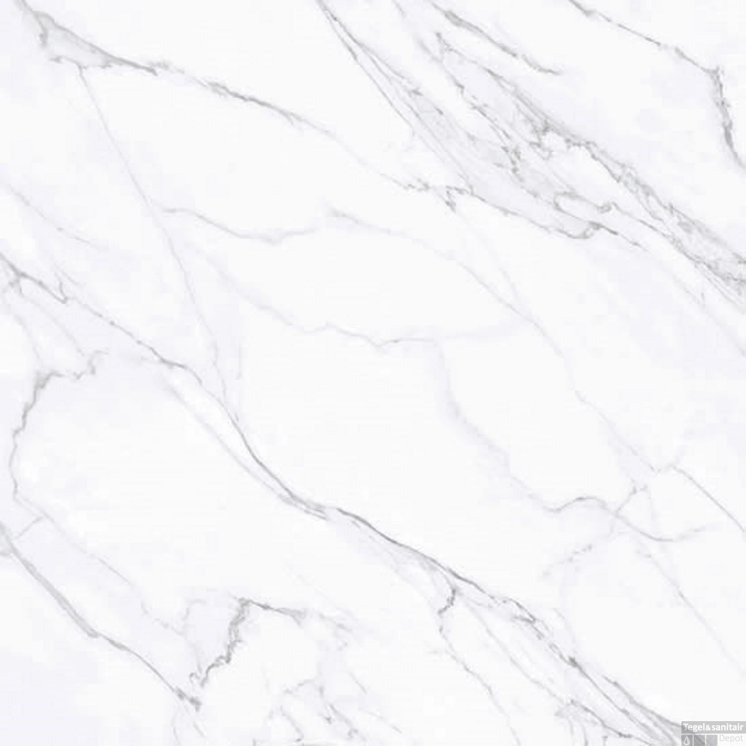 Vloertegel Douglas & Jones Marbles 120x120 Cm Glans Lincoln White (Doosinhoud 1.44m2)