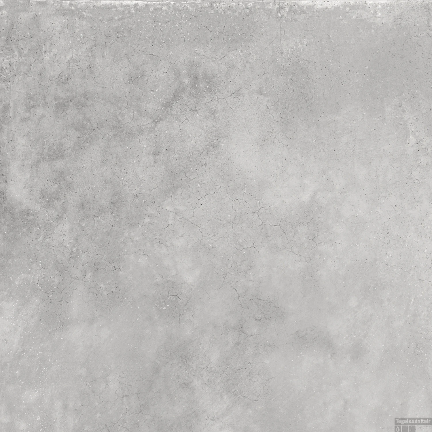 Vloertegel Energieker Parker 60X60 Cm Silver (Doosinhoud 1,44M2)