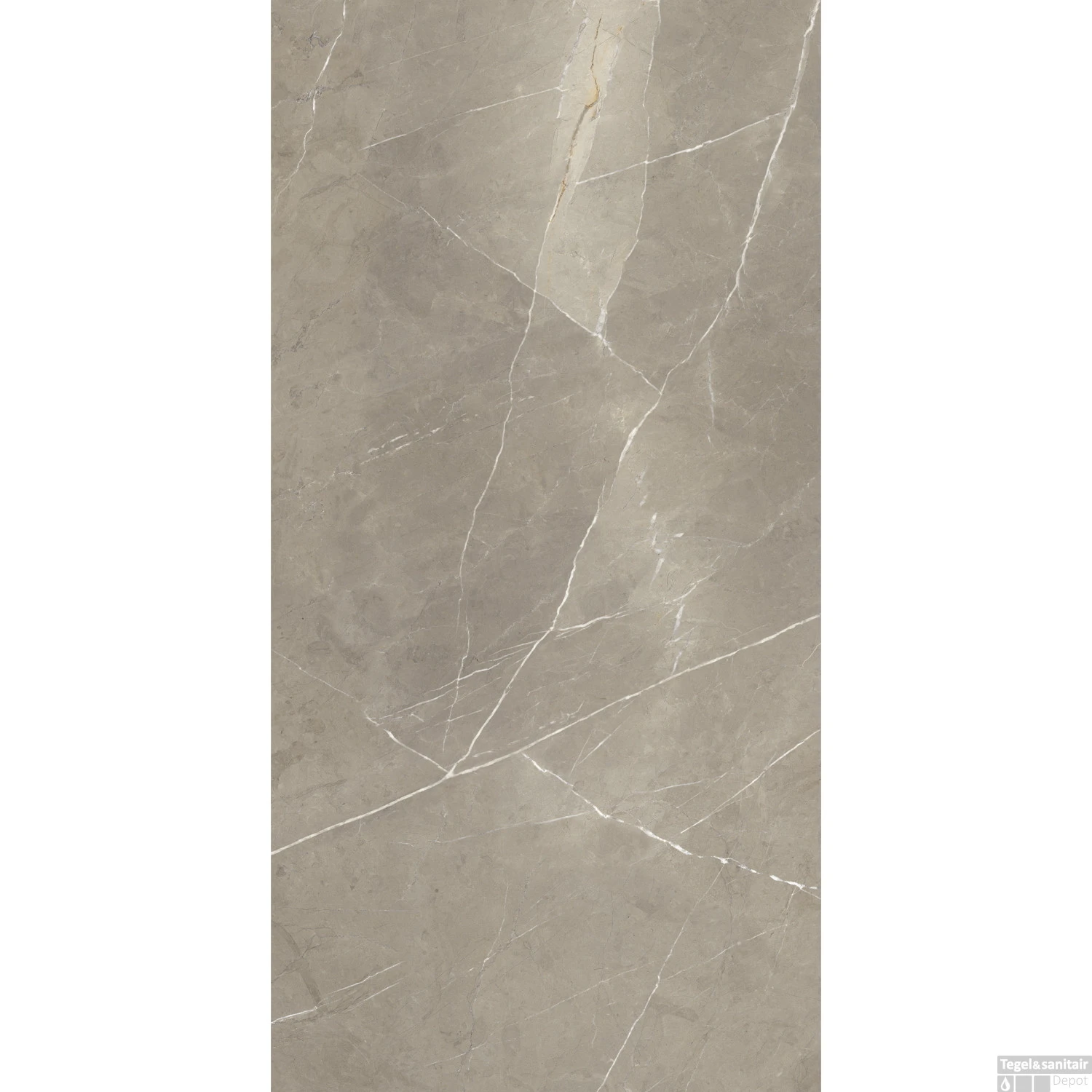 Vloertegel Energieker Pietragrey Glans 60X120 Cm Taupe (Doosinhoud 1,44M2) 3 Vloertegel Energieker Pietragrey Glans 60X120 Cm Taupe (Doosinhoud 1,44M2)